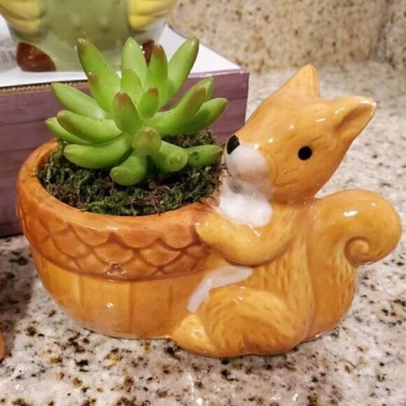 Vintage Hand Painted Squirrel Planter pot. ‎ Cute for succulents cacti or plants - Picture 3 of 7